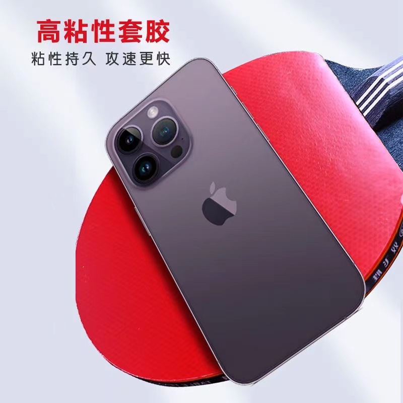 雙飛勝乒乓球拍