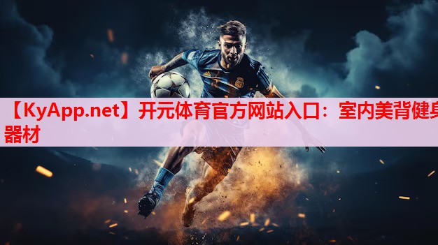 室內(nèi)美背健身器材 室內(nèi)美背健身器材