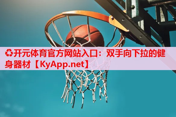 雙手向下拉的健身器材 雙手向下拉的健身器材