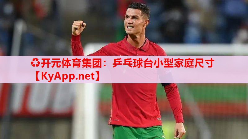 乒乓球臺小型家庭尺寸 乒乓球臺小型家庭尺寸