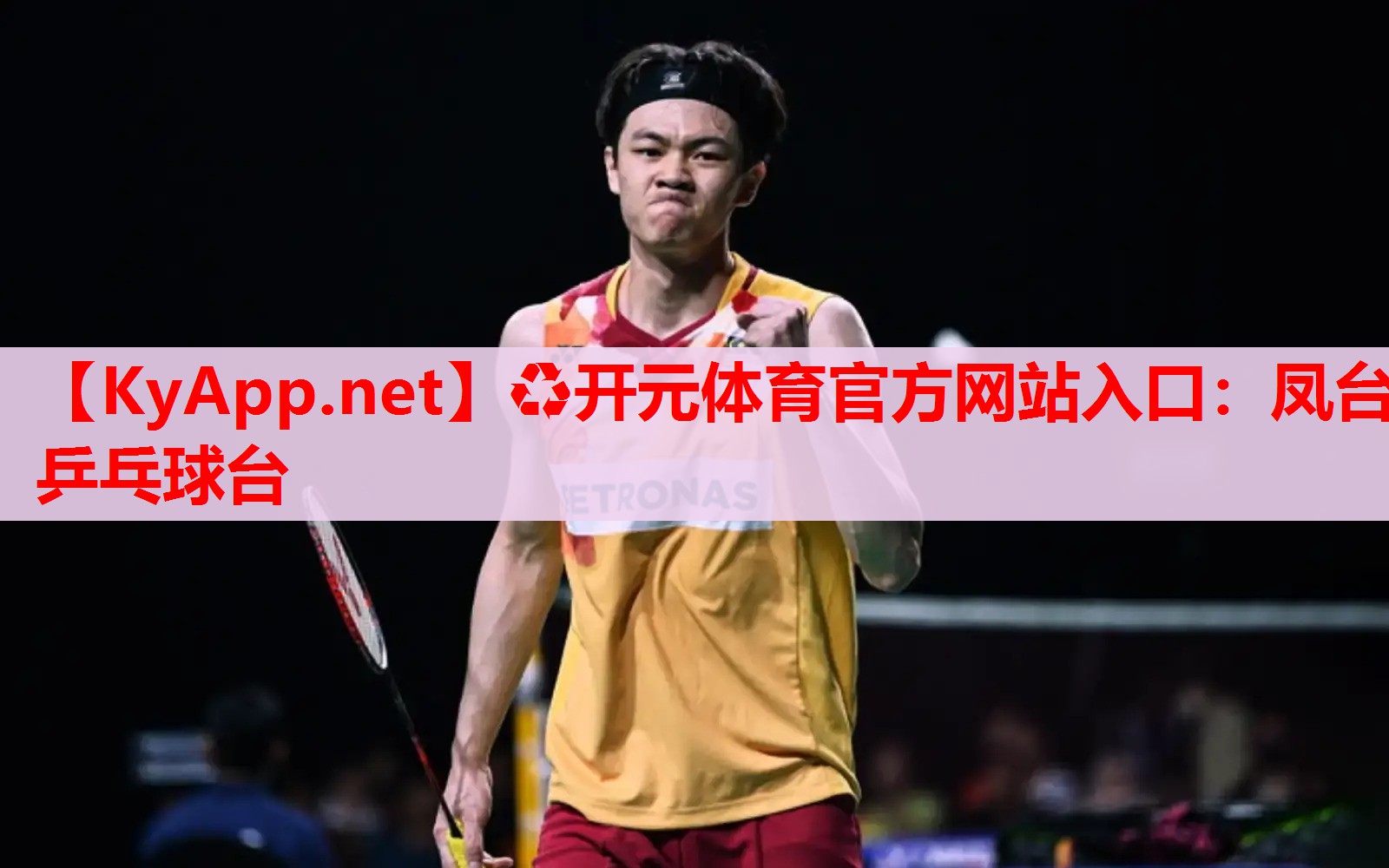 鳳臺(tái)乒乓球臺(tái) 鳳臺(tái)乒乓球臺(tái)