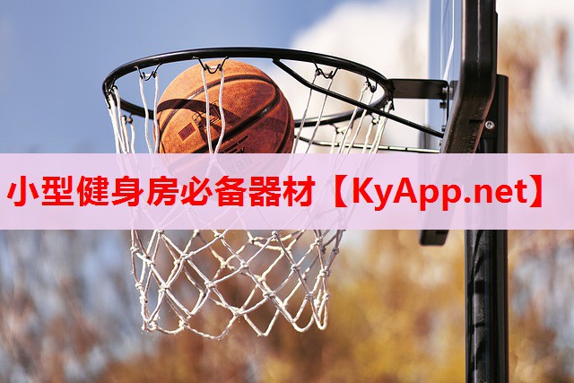 小型健身房必備器材 小型健身房必備器材