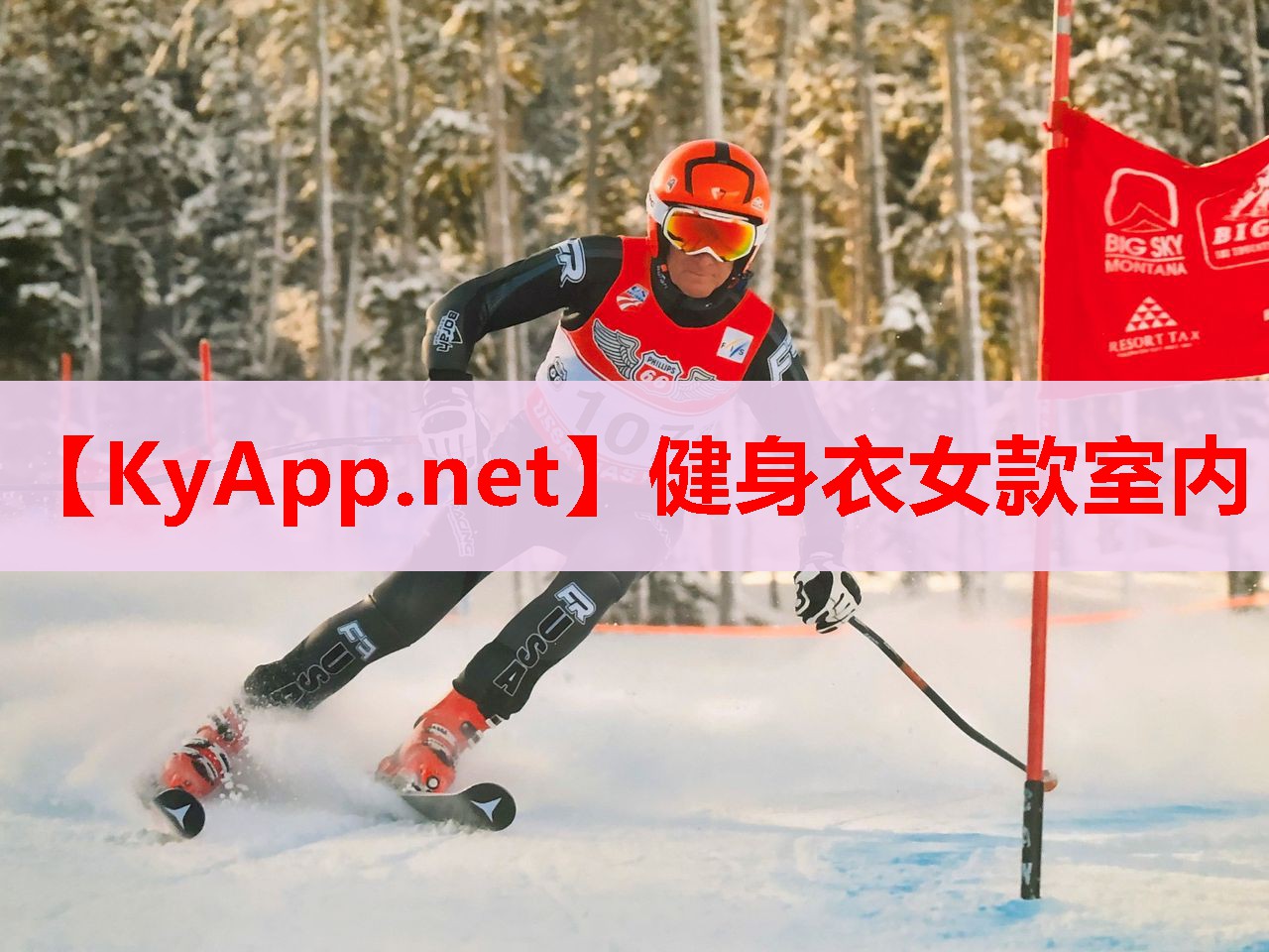 健身衣女款室內(nèi) 健身衣女款室內(nèi)