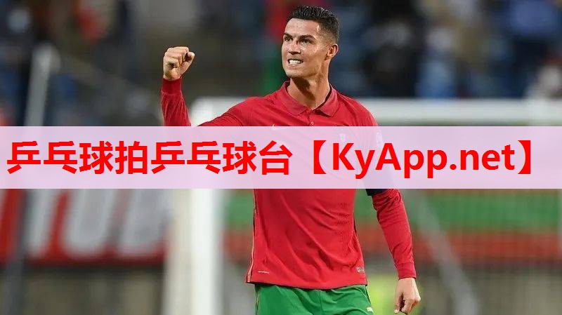 乒乓球拍乒乓球臺(tái) 乒乓球拍乒乓球臺(tái)