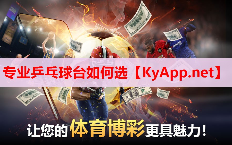 專(zhuān)業(yè)乒乓球臺(tái)如何選 專(zhuān)業(yè)乒乓球臺(tái)如何選