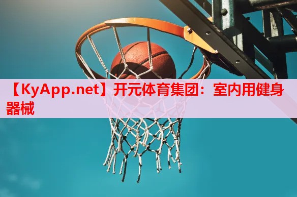 室內(nèi)用健身器械 室內(nèi)用健身器械