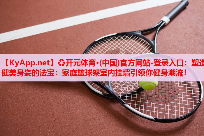 塑造健美身姿的法寶：家庭籃球架室內(nèi)掛墻引領(lǐng)你健身潮流！