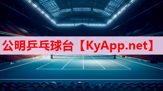 公明乒乓球臺 公明乒乓球臺