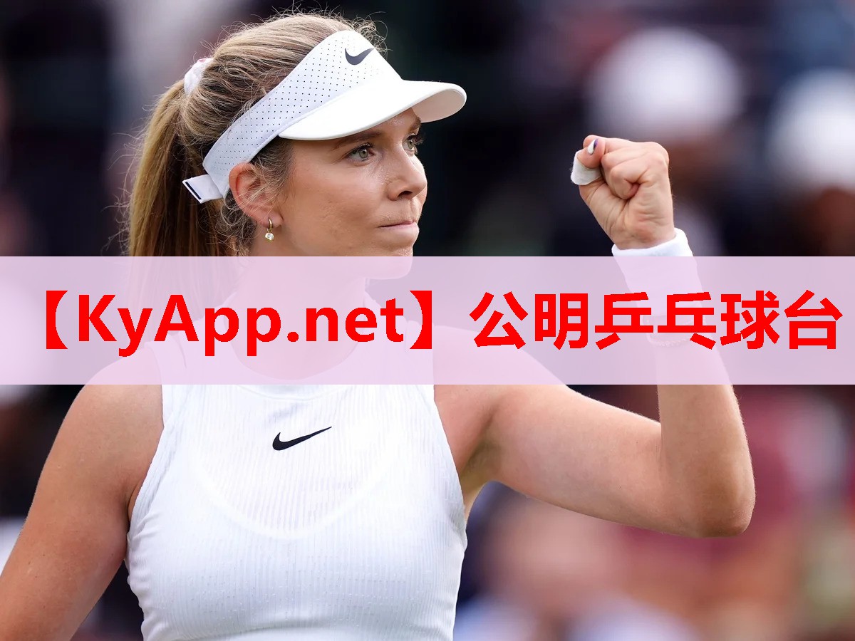 公明乒乓球臺 公明乒乓球臺