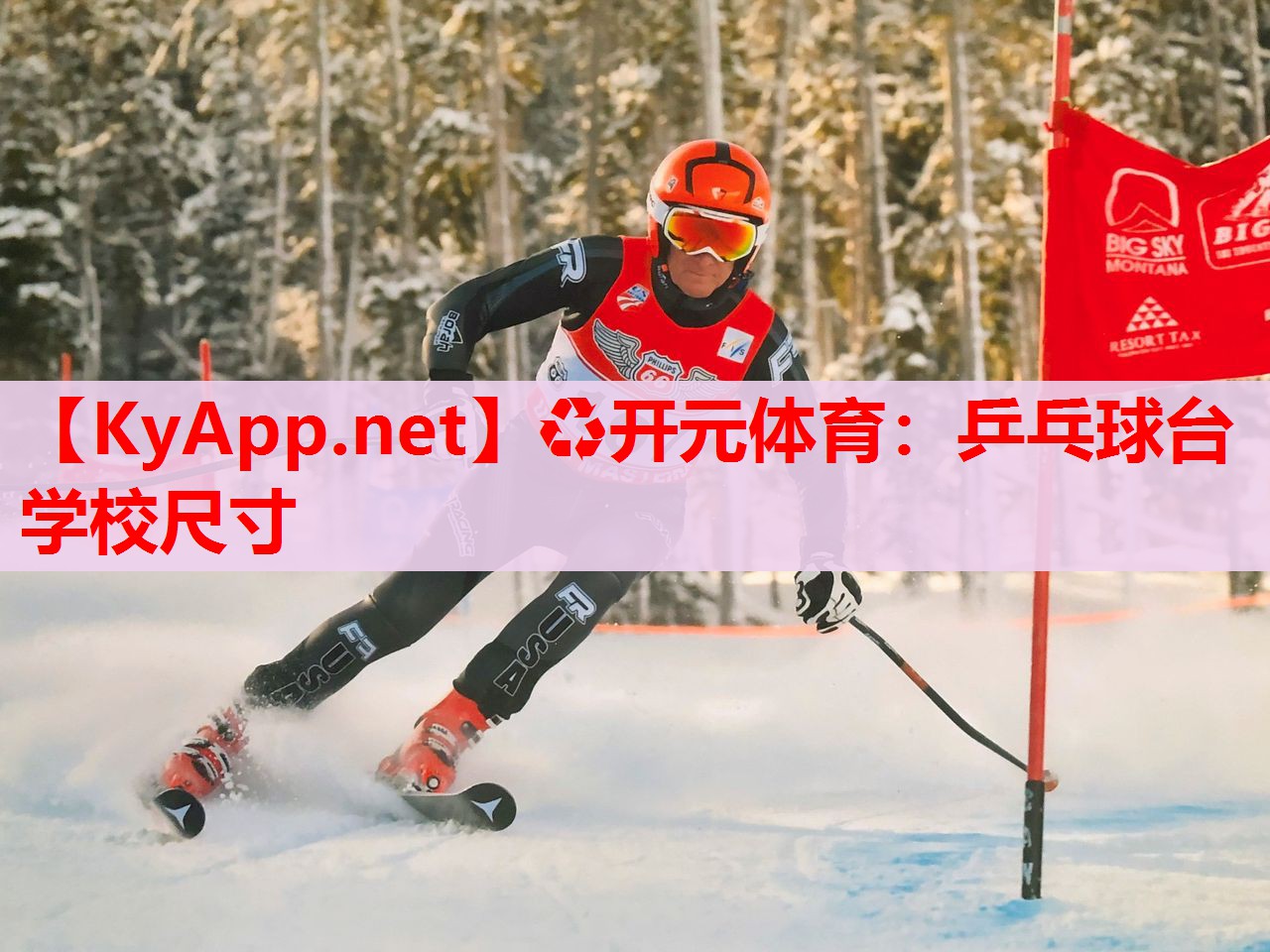 乒乓球臺學校尺寸 乒乓球臺學校尺寸