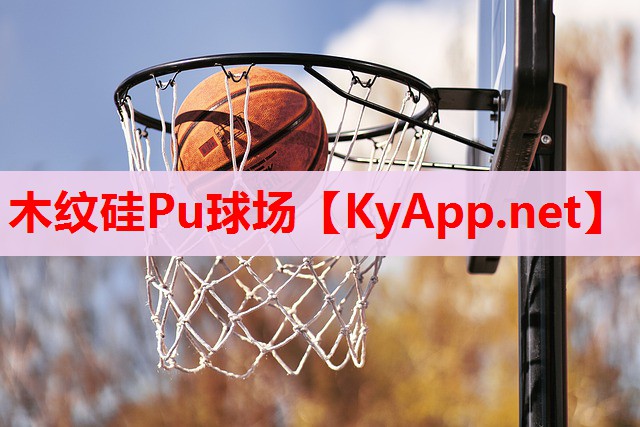 木紋硅Pu球場(chǎng) 木紋硅Pu球場(chǎng)