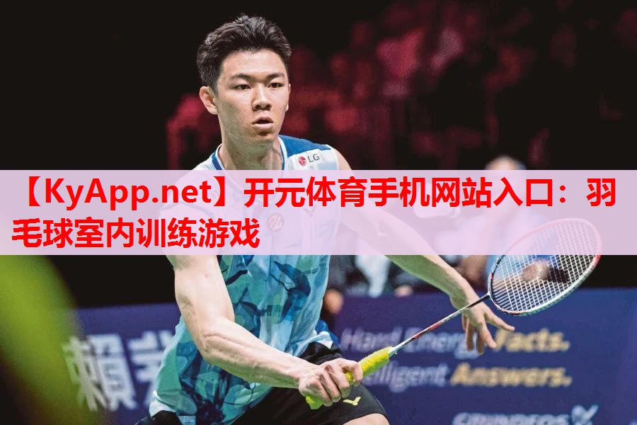 羽毛球室內訓練游戲