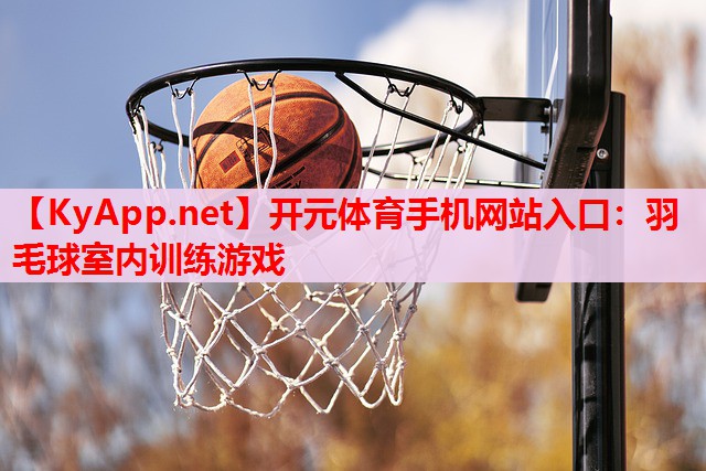 羽毛球室內訓練游戲