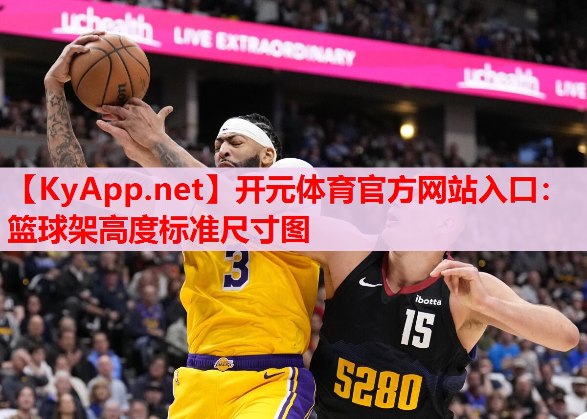 籃球架高度標(biāo)準(zhǔn)尺寸圖 籃球架高度標(biāo)準(zhǔn)尺寸圖