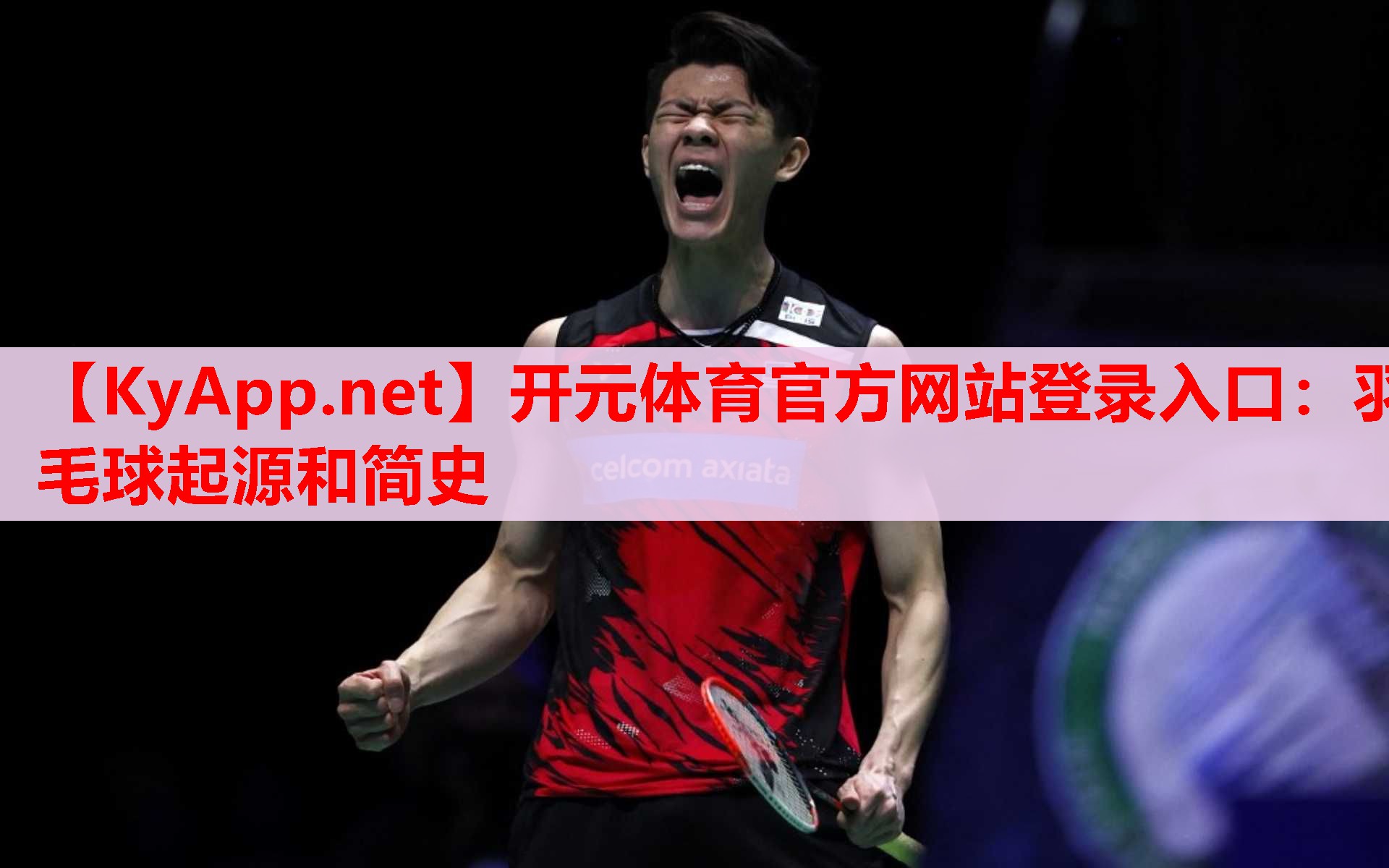 羽毛球起源和簡史