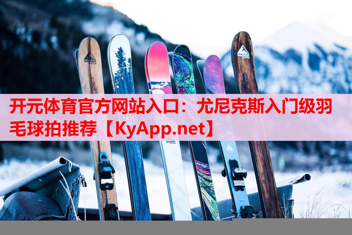 尤尼克斯入門級羽毛球拍推薦