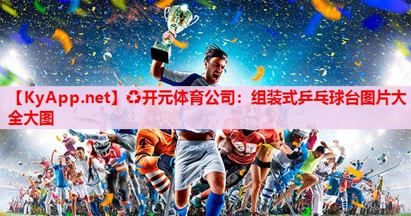 組裝式乒乓球臺圖片大全大圖